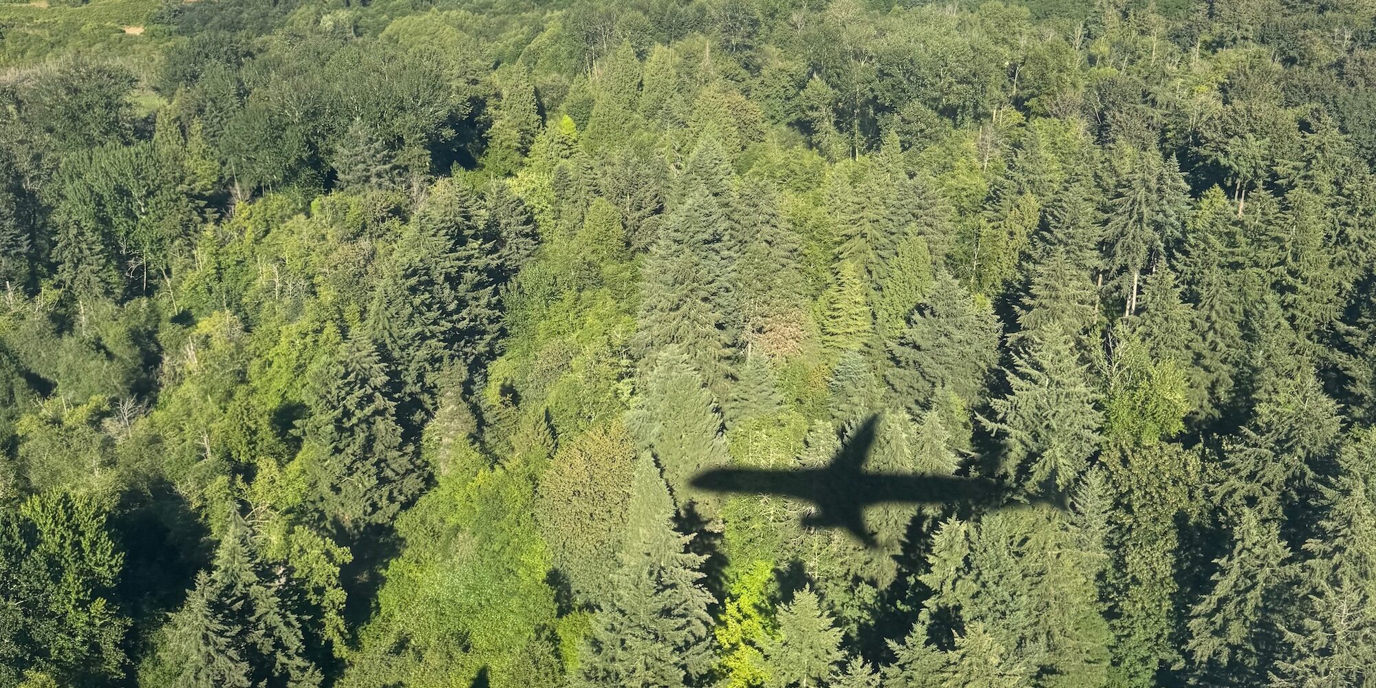 Plane Flying Over Trees